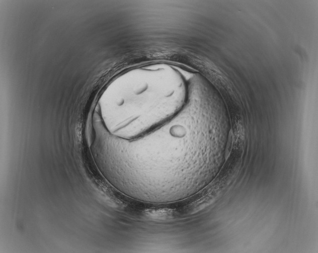 X0000110950452200907101310