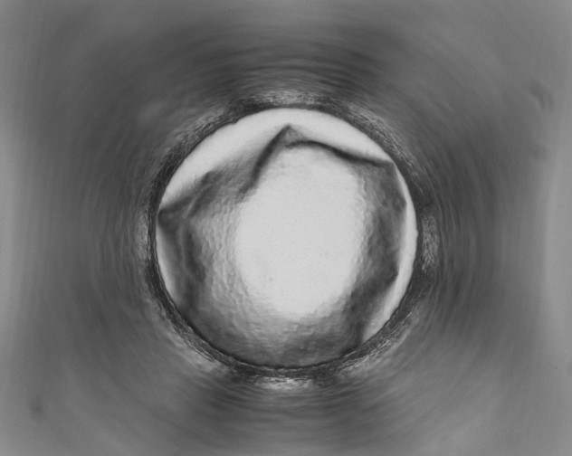 X0000110950453200907101311