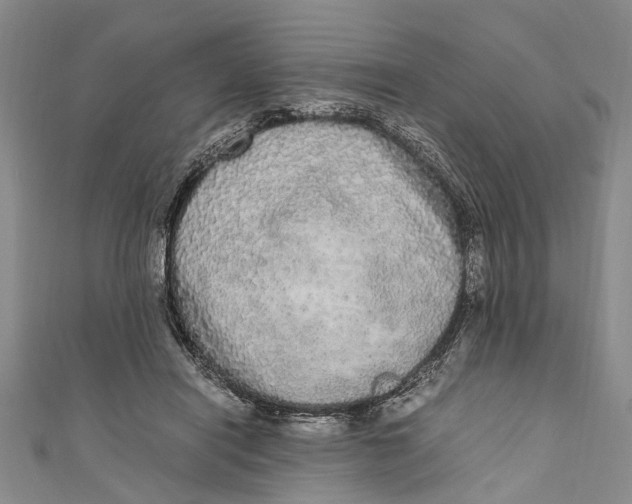 X0000110950454200907101311