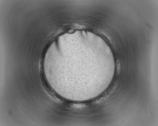 X0000110950455200907101311