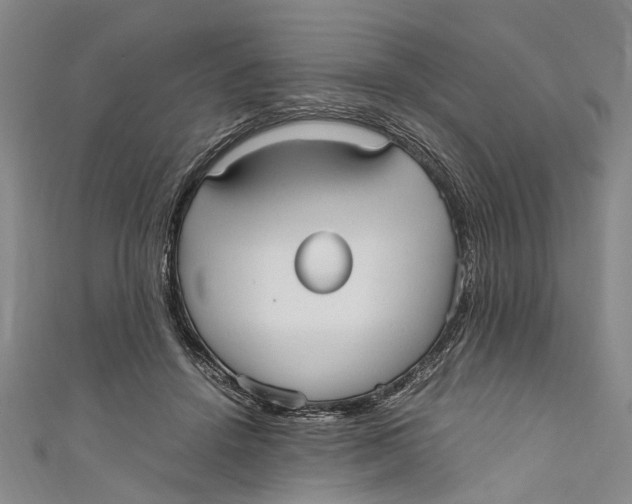 X0000110950456200907101311