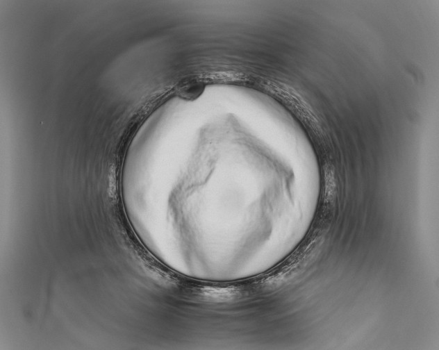 X0000110950457200907101311