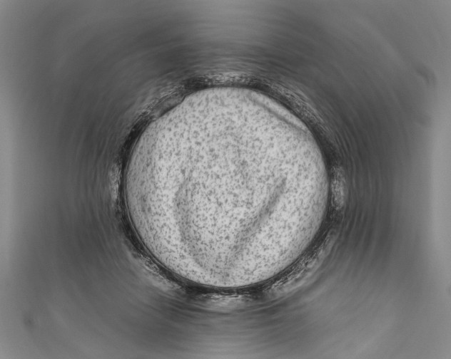 X0000110950458200907101311