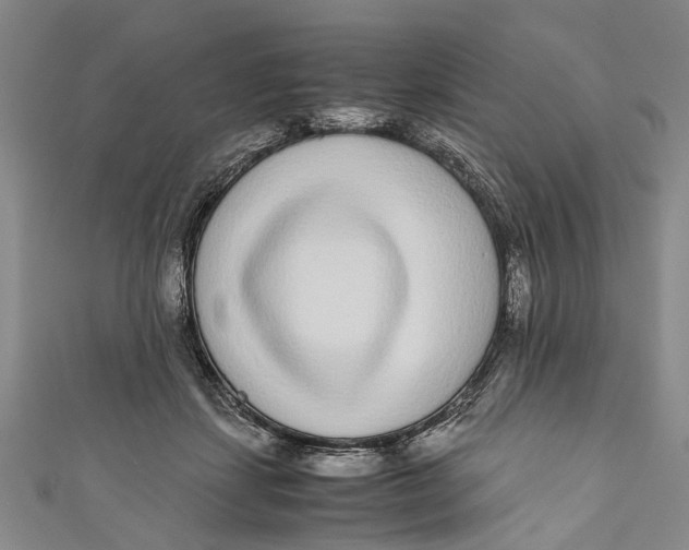 X0000110950459200907101311