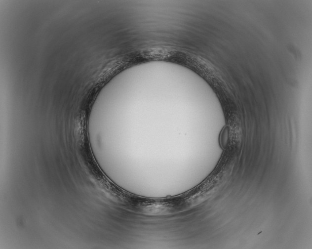 X0000110950460200907101311