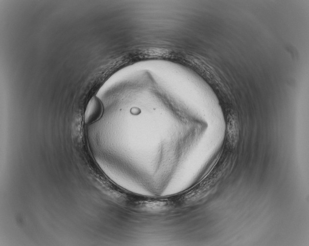 X0000110950462200907101311