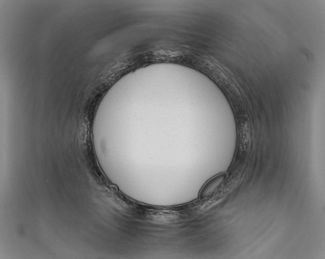 X0000110950463200907101311