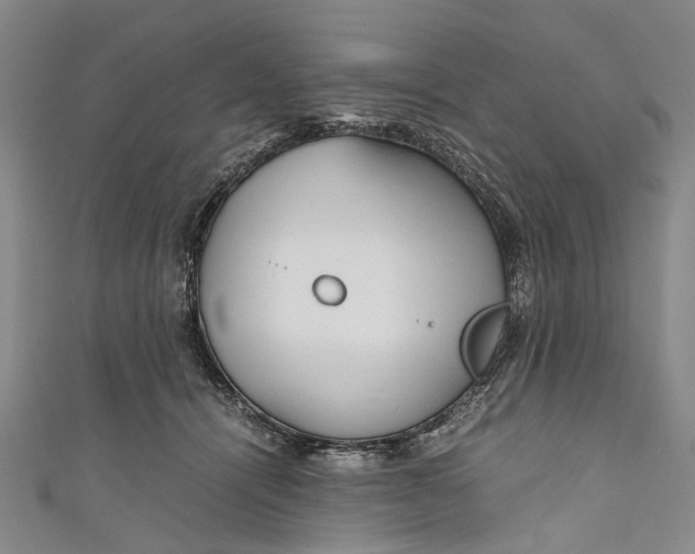 X0000110950464200907101311