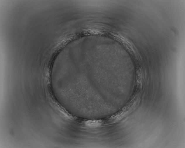 X0000110950465200907101311