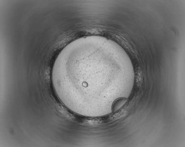 X0000110950466200907101311