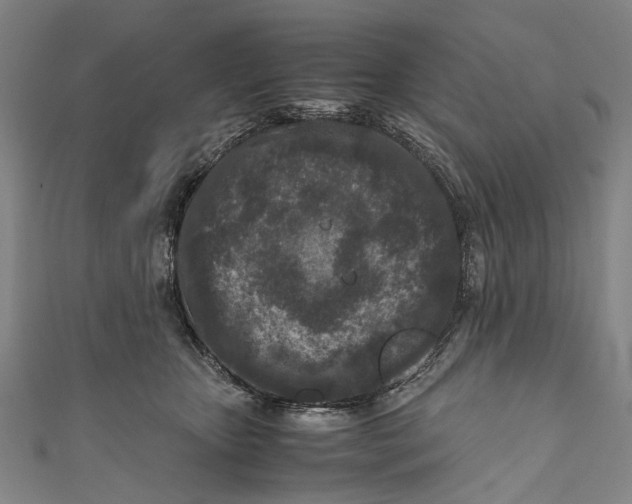 X0000110950467200907101311