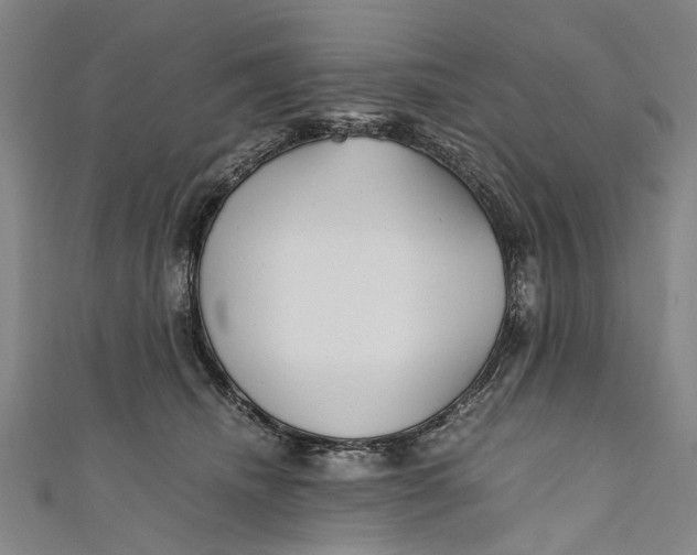 X0000110950468200907101311