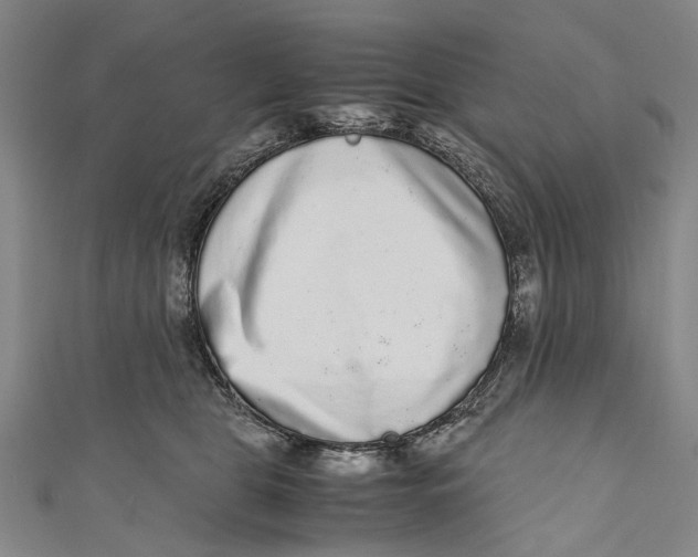 X0000110950469200907101311