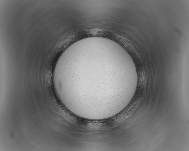 X0000110950470200907101311