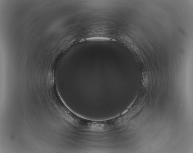 X0000110950471200907101311