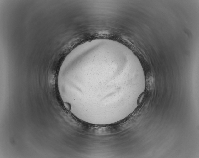 X0000110950472200907101311