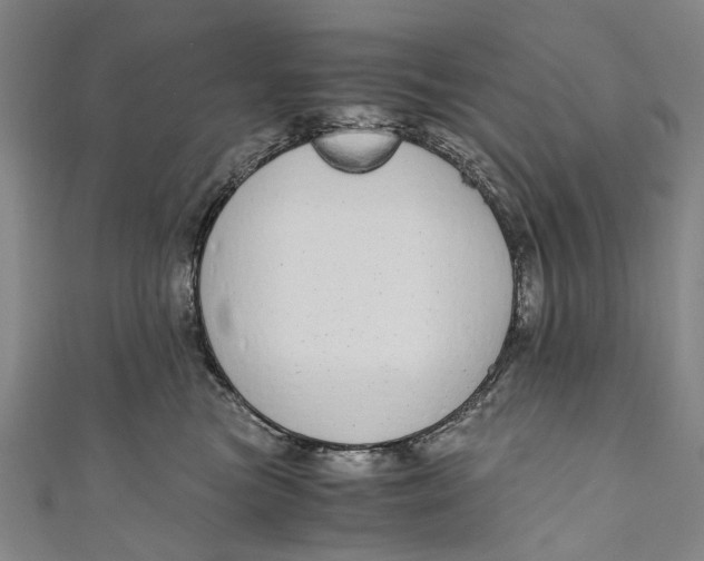 X0000110950473200907101311