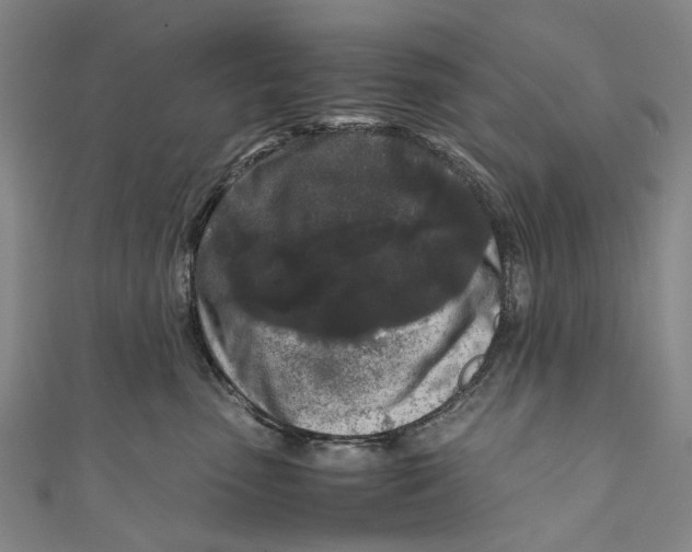 X0000110950475200907101311