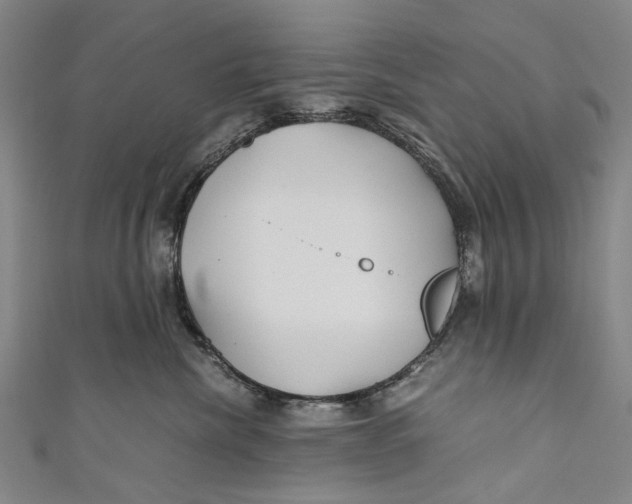 X0000110950476200907101311