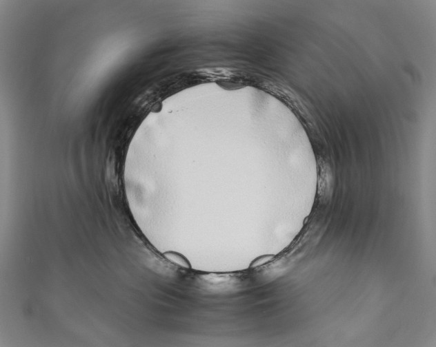 X0000110950477200907101311