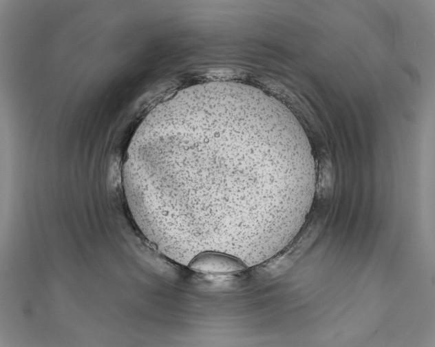 X0000110950478200907101311