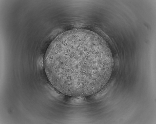 X0000110950479200907101311