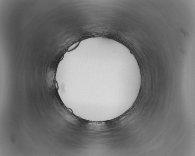 X0000110950480200907101311