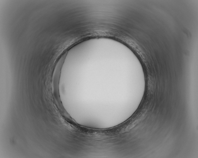 X0000110950481200907101310