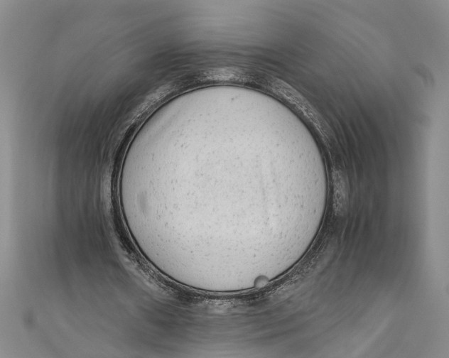 X0000110950482200907101310