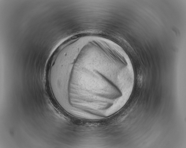 X0000110950484200907101310