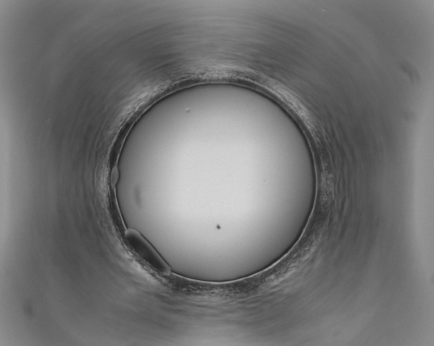 X0000110950485200907101310