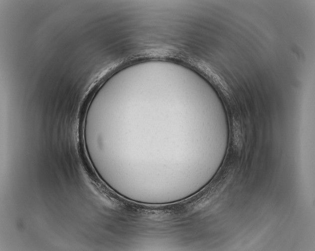 X0000110950486200907101310