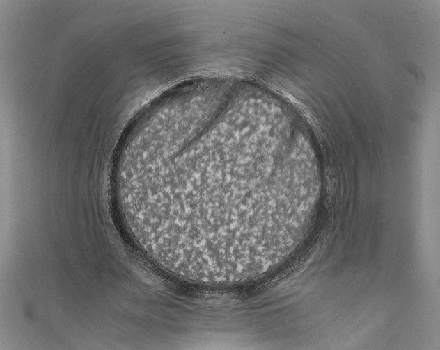 X0000110950487200907101310