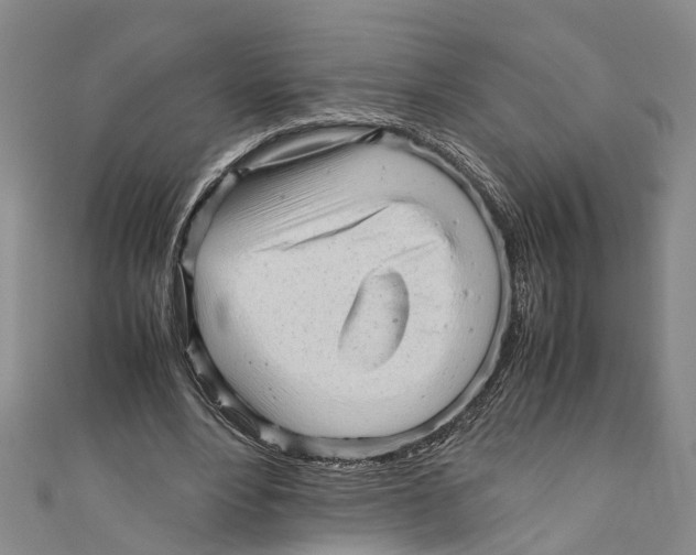 X0000110950488200907101310