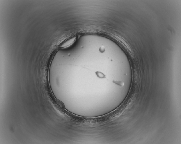 X0000110950489200907101310