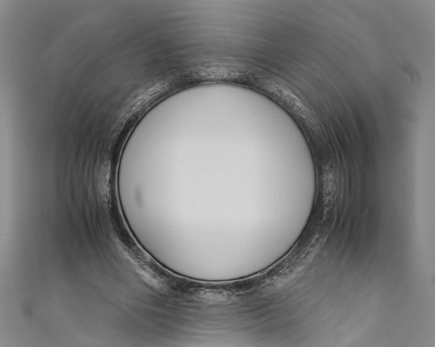 X0000110950490200907101310