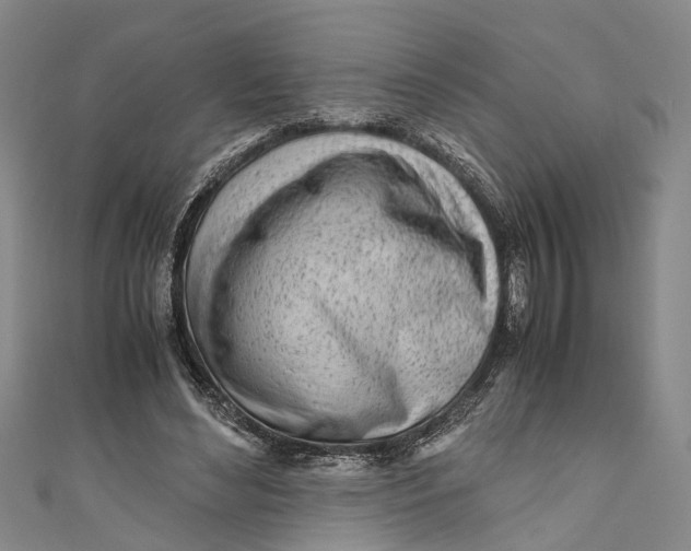 X0000110950492200907101310