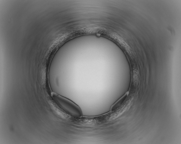 X0000110950493200907101310