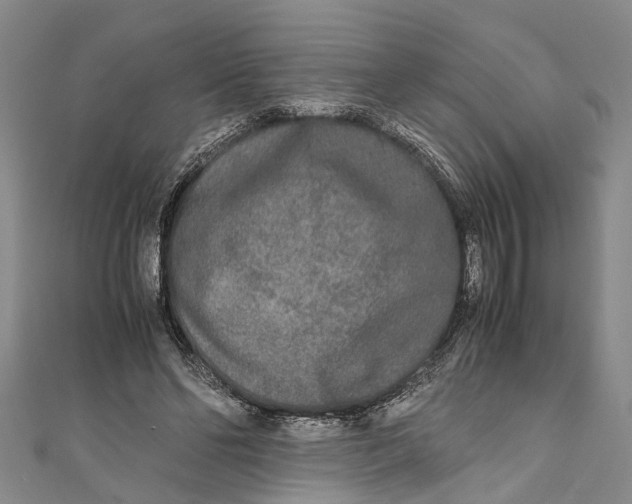 X0000110950494200907101310