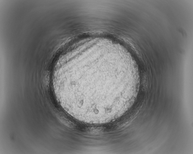 X0000110950495200907101310