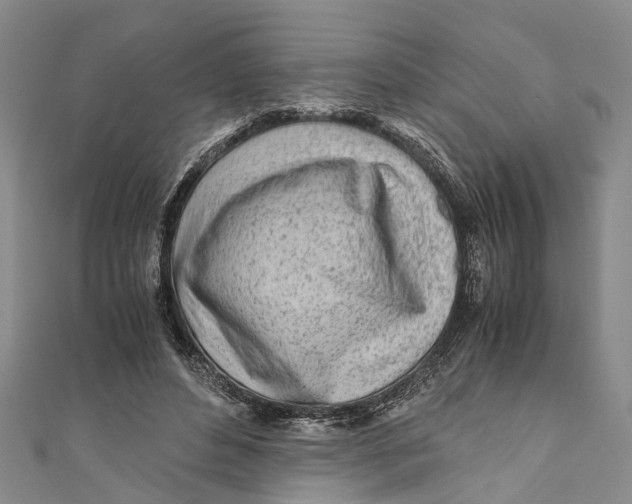 X0000110950496200907101310