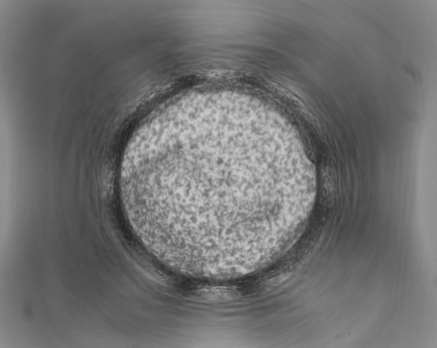 X0000110950499200907101310