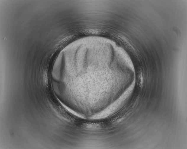 X0000110950500200907101310