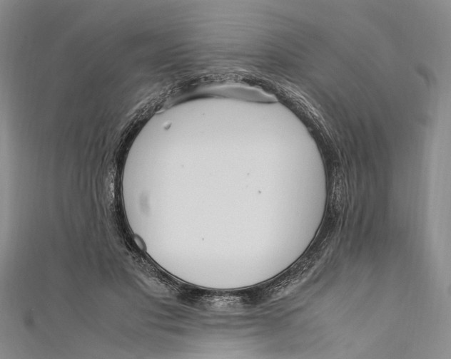 X0000110950501200907101310