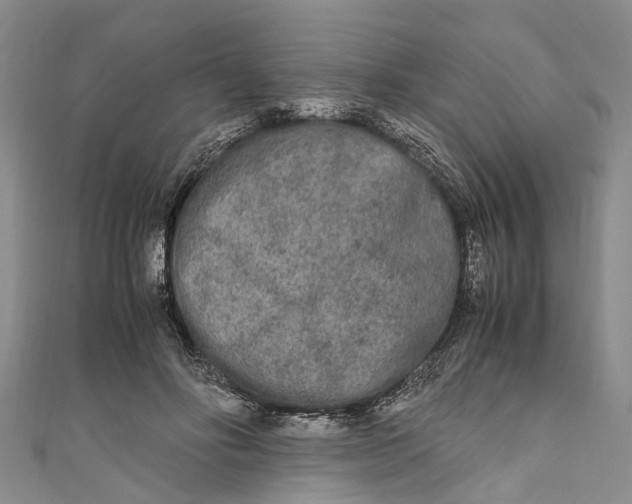 X0000110950502200907101310