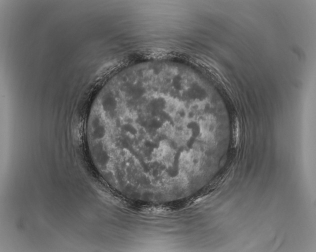 X0000110950503200907101310