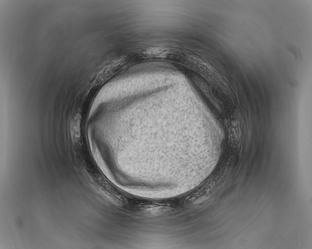 X0000110950504200907101310