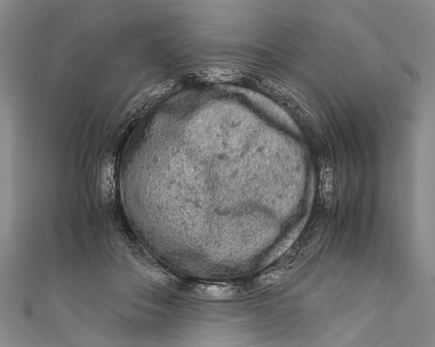 X0000110950506200907101310