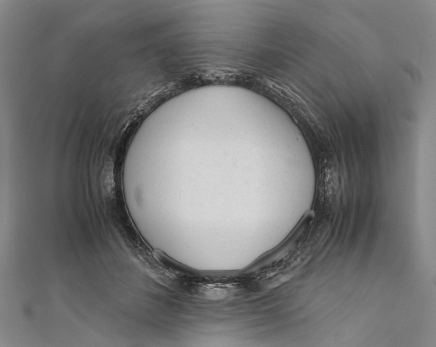 X0000110950508200907101310