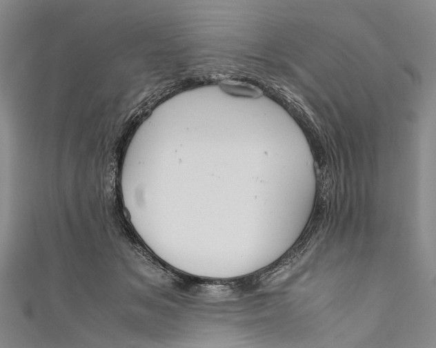 X0000110950509200907101310